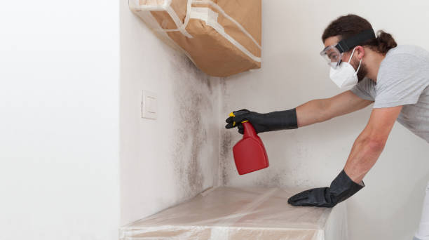 Professional Mold Removal technician working in Grampian, PA