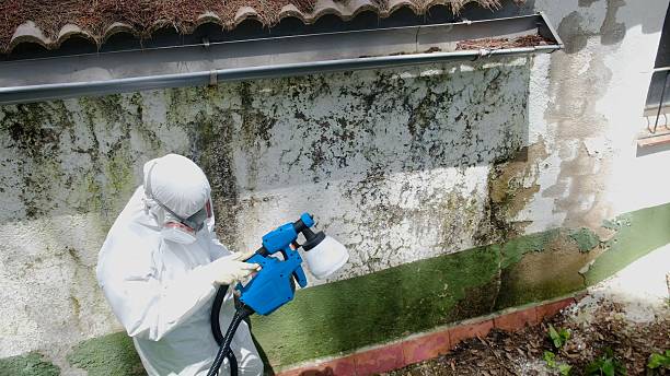 Trusted Bathroom Mold Removal service in Grampian, PA - Cheap Mold Removal